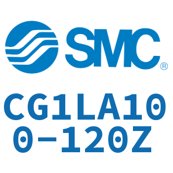 Axial foot type standard cylinder-CG1LA100-120Z