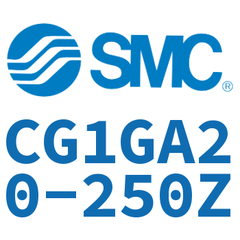 Rodless side flange type standard cylinder-CG1GA20-250Z