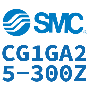 Rodless side flange type standard cylinder-CG1GA25-300Z