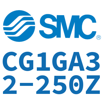 Rodless side flange type standard cylinder-CG1GA32-250Z