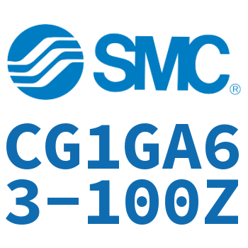 Rodless side flange type standard cylinder-CG1GA63-100Z