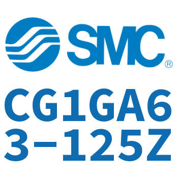 Rodless side flange type standard cylinder-CG1GA63-125Z