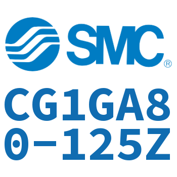 Rodless side flange type standard cylinder-CG1GA80-125Z