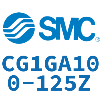 Rodless side flange type standard cylinder-CG1GA100-125Z
