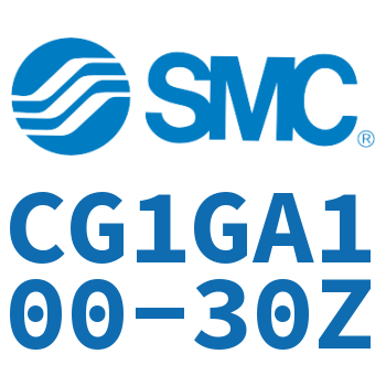 Rodless side flange type standard cylinder-CG1GA100-30Z