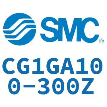 Rodless side flange type standard cylinder-CG1GA100-300Z