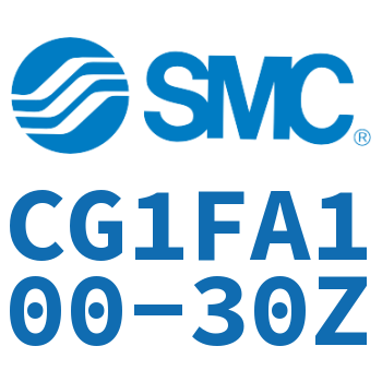 Rod side flange type standard cylinder-CG1FA100-30Z