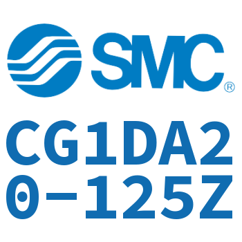 Earring type standard cylinder-CG1DA20-125Z