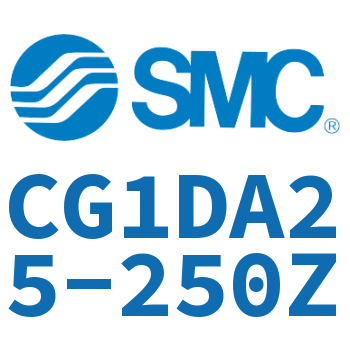Earring type standard cylinder-CG1DA25-250Z