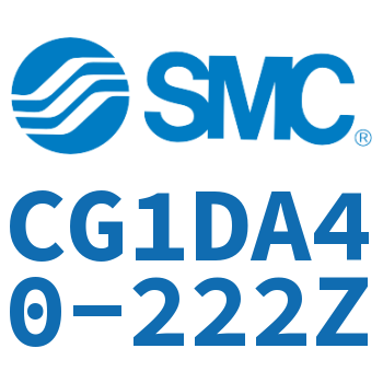 Earring type standard cylinder-CG1DA40-222Z
