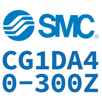 Earring type standard cylinder-CG1DA40-300Z