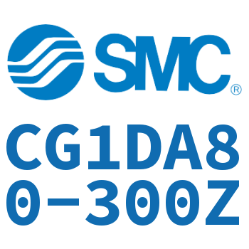 Earring type standard cylinder-CG1DA80-300Z