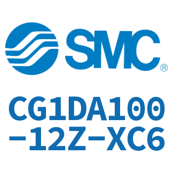 Earring type standard cylinder-CG1DA100-12Z-XC6