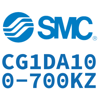 Earring type standard cylinder-CG1DA100-700KZ