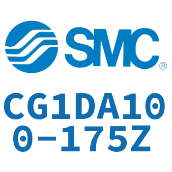 Earring type standard cylinder-CG1DA100-175Z