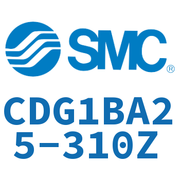 CDG1BA25-310Z