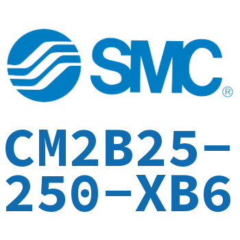 不锈钢迷你气缸 CM2B25-250-XB6