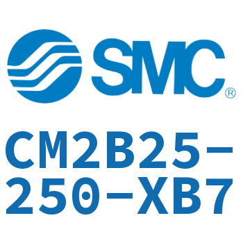 不锈钢迷你气缸 CM2B25-250-XB7