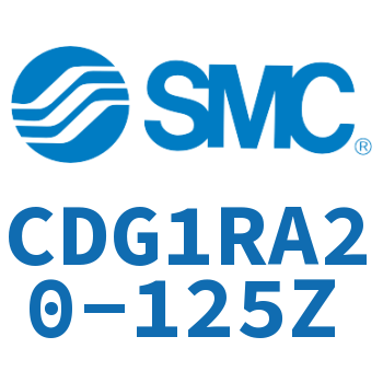 Direct installation type standard cylinder-CDG1RA20-125Z