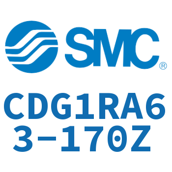 Direct installation type standard cylinder-CDG1RA63-170Z