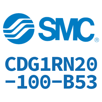 Direct installation type standard cylinder-CDG1RN20-100-B53