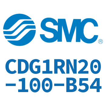 Direct installation type standard cylinder-CDG1RN20-100-B54