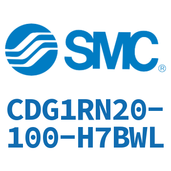 Direct installation type standard cylinder-CDG1RN20-100-H7BWL