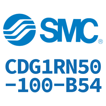 Direct installation type standard cylinder-CDG1RN50-100-B54