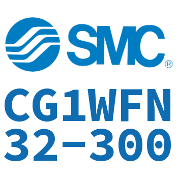 CG1WFN32-300