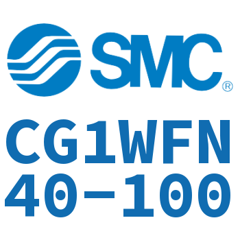 CG1WFN40-100