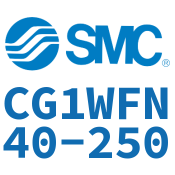CG1WFN40-250
