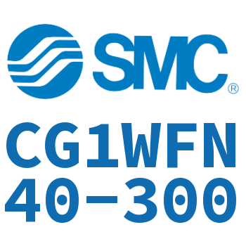 CG1WFN40-300