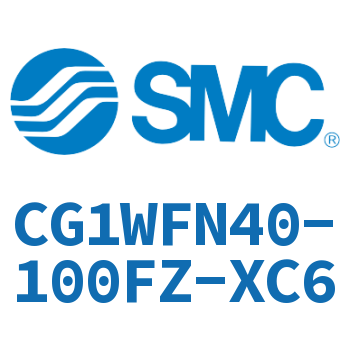 CG1WFN40-100FZ-XC6