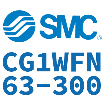 CG1WFN63-300