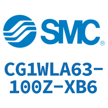 CG1WLA63-100Z-XB6