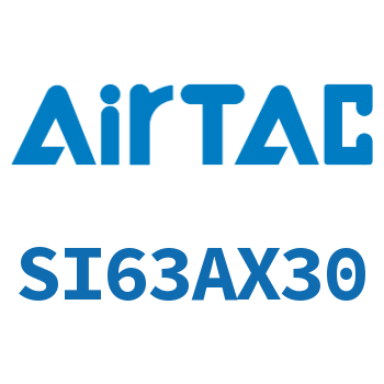 标准气缸 SI63AX30