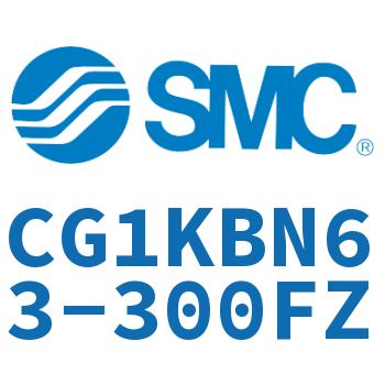 CG1KBN63-300FZ