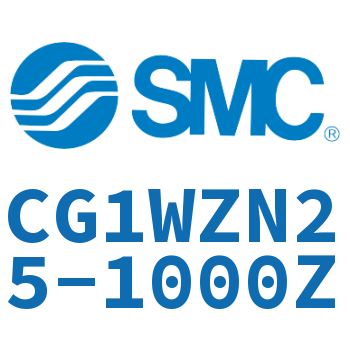 CG1WZN25-1000Z