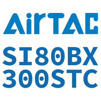 标准气缸 SI80BX300STC