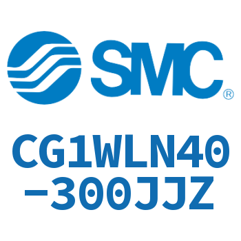 CG1WLN40-300JJZ