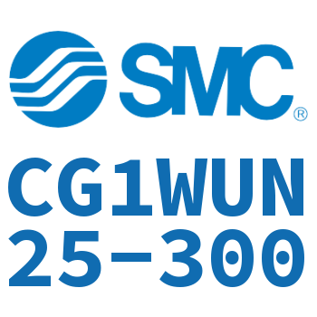 CG1WUN25-300