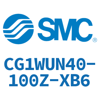 CG1WUN40-100Z-XB6