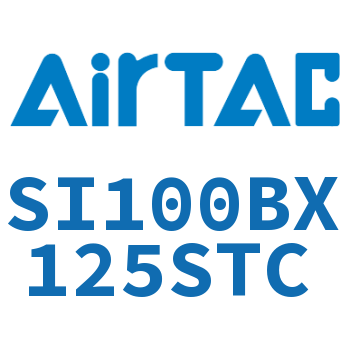 标准气缸 SI100BX125STC