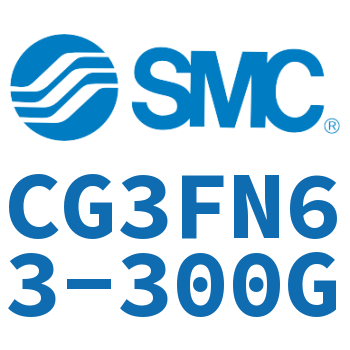 Rod side flange type standard cylinder-CG3FN63-300G