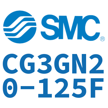 Rodless side flange type standard cylinder-CG3GN20-125F