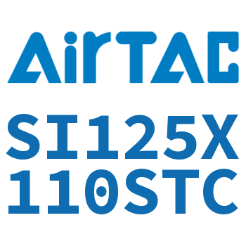 标准气缸 SI125X110STC