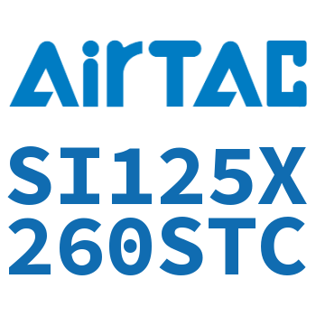 标准气缸 SI125X260STC