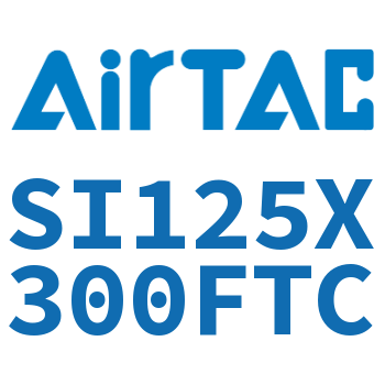 标准气缸 SI125X300FTC