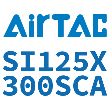 标准气缸 SI125X300SCA