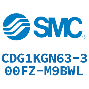 CDG1KGN63-300FZ-M9BWL